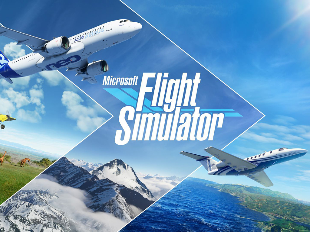 Microsoft Flight Simulator